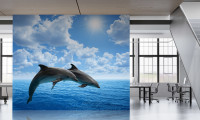 large-office-dolphin-artwork